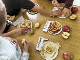 55762878612646316054647857776136618459365148n